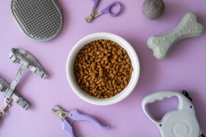 Leia mais sobre o artigo Unleashed Uniqueness: Quirky Discoveries in the Pet Store